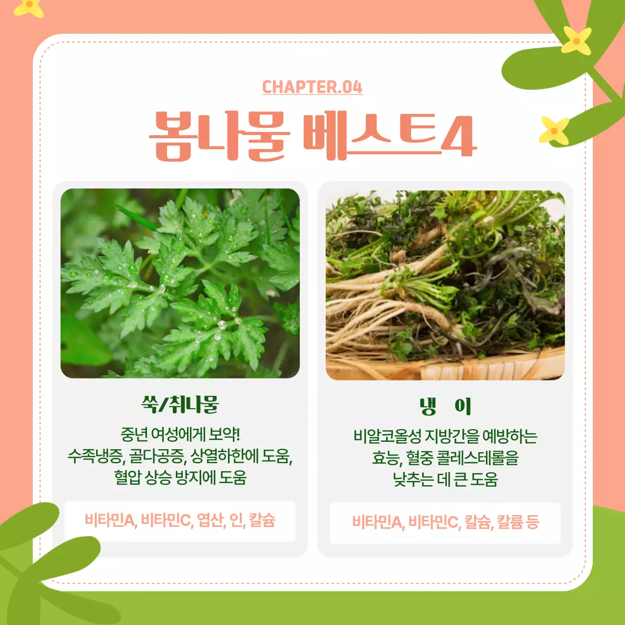 연두색과 핑크색의 화사한 봄나물