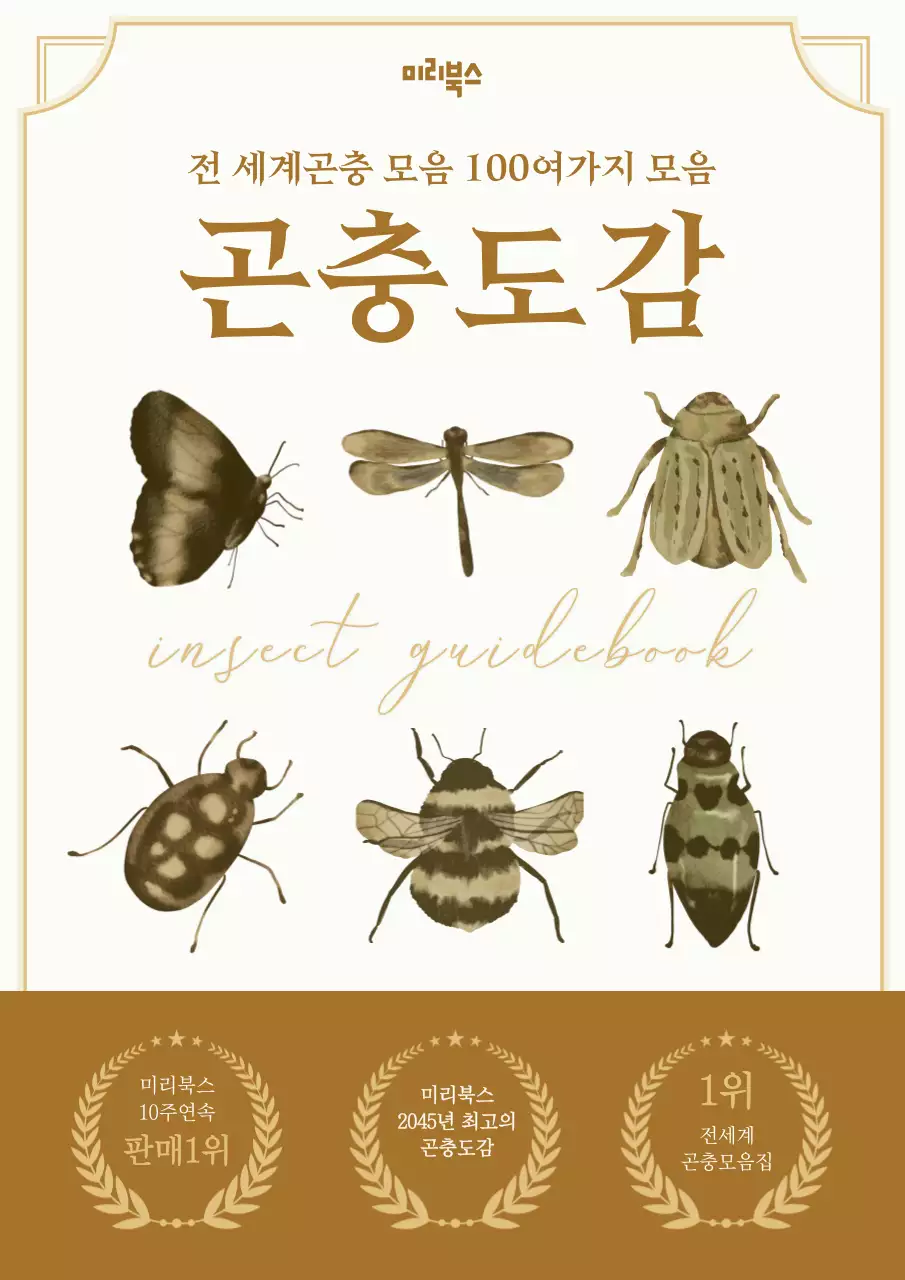 브라운 갈색과 빈티지한 느낌의 생태 교육 백과사전 곤충도감