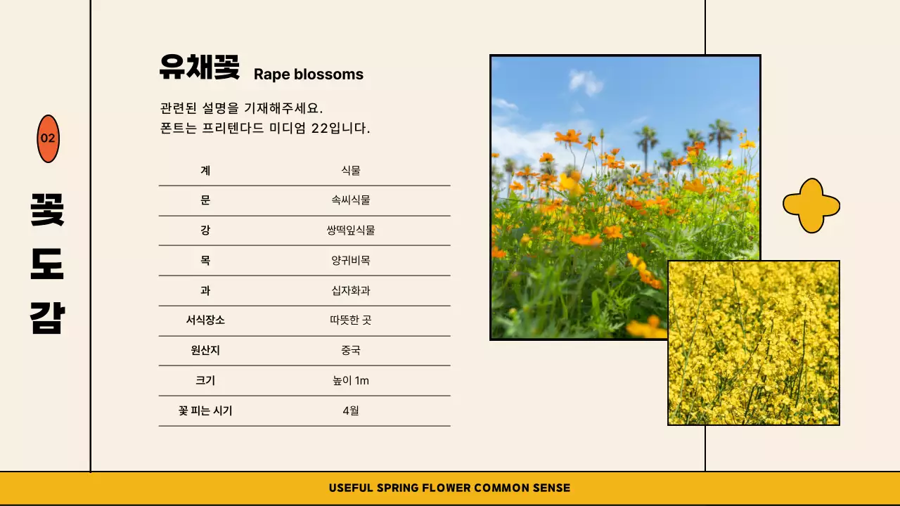 아이보리 오렌지 색상의 일러스트 컨셉의 귀여운 봄 꽃 교양 강의용