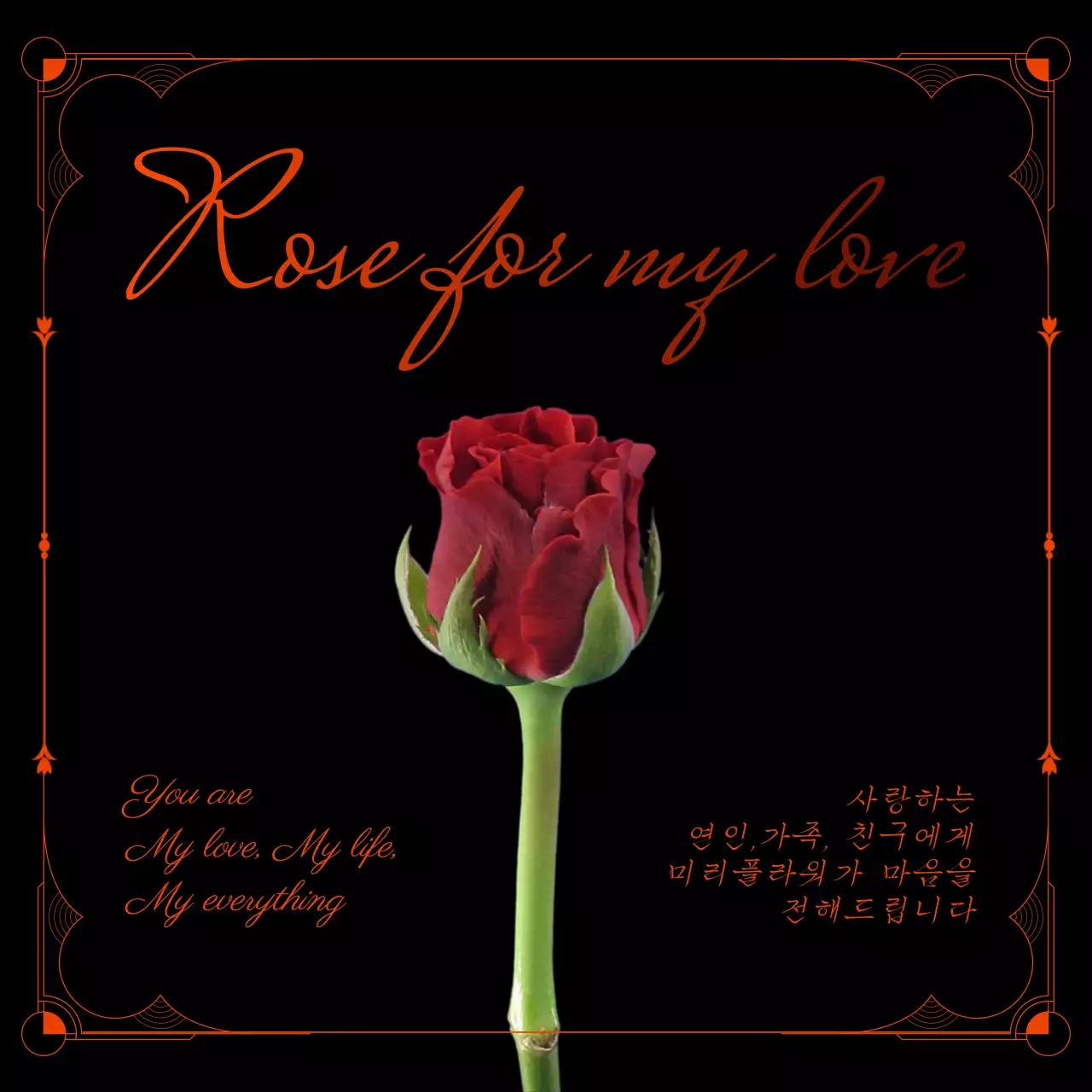 빨간색과 검정색 테마의 로즈데이