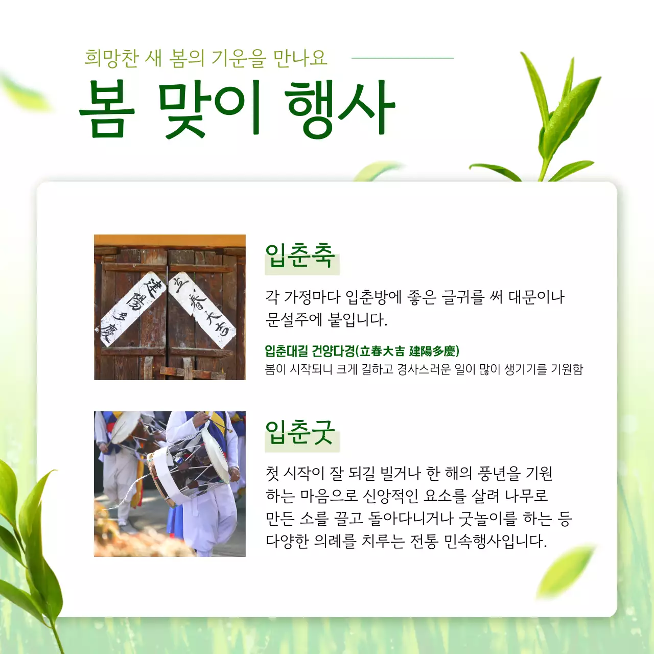 초록색 나뭇잎이 흩날리는 싱그럽고 산뜻한 컨셉의 입춘행사 정보