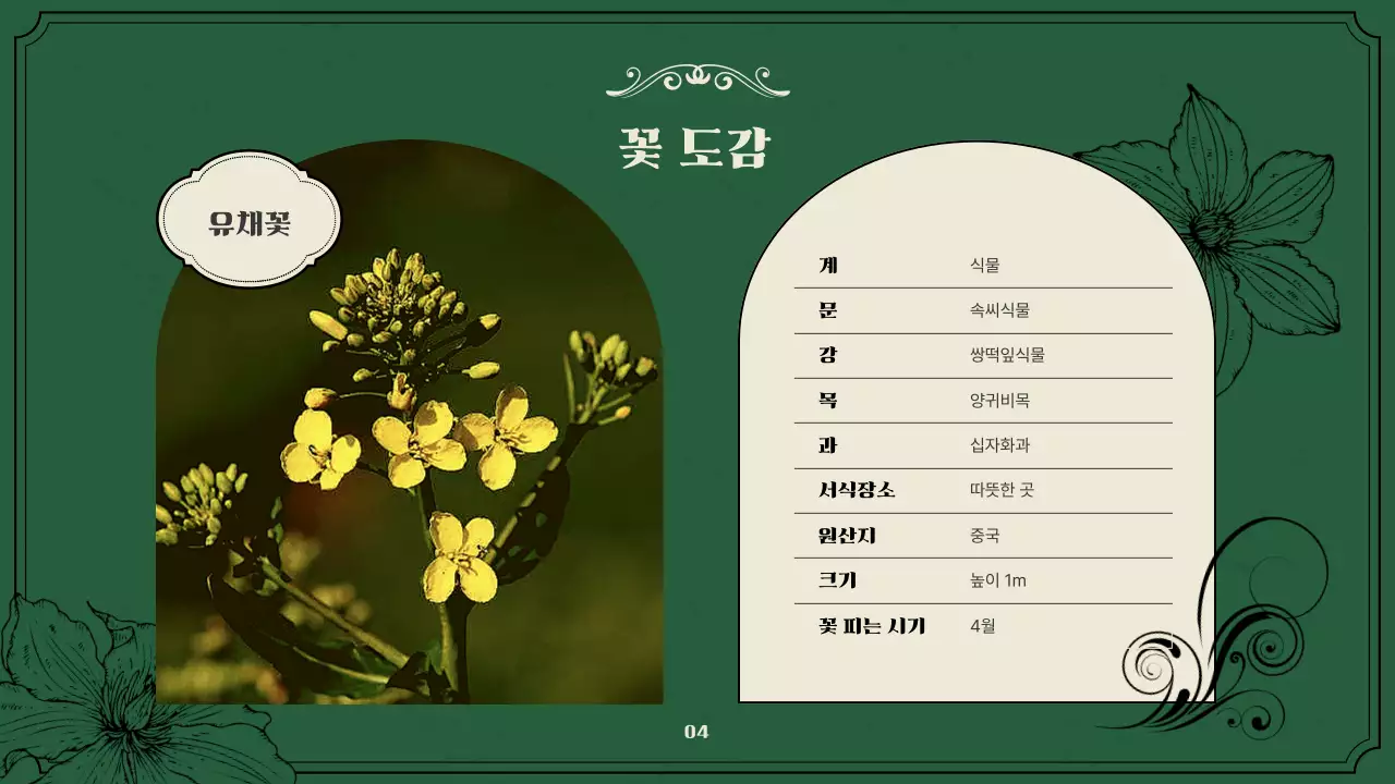 녹색과 베이지의 빈티지한 봄꽃 소개