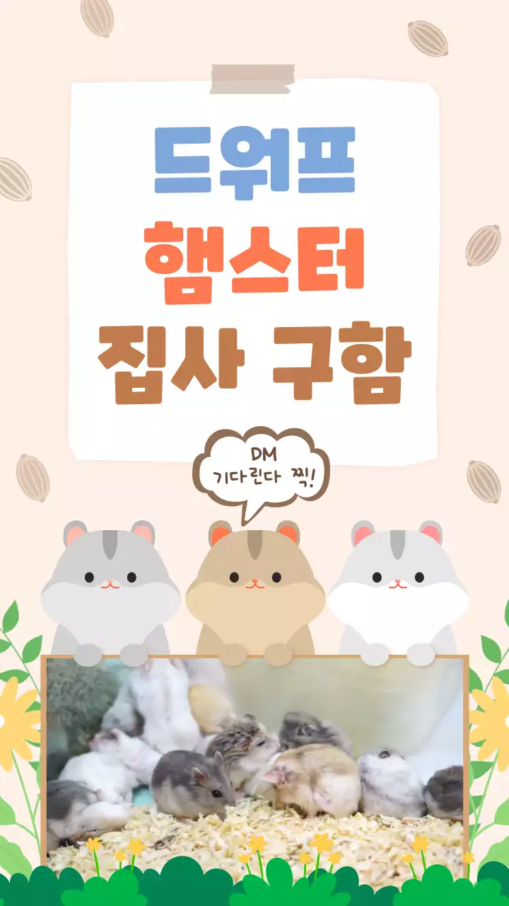 베이지색의 귀여운 햄스터 입양모집 광고