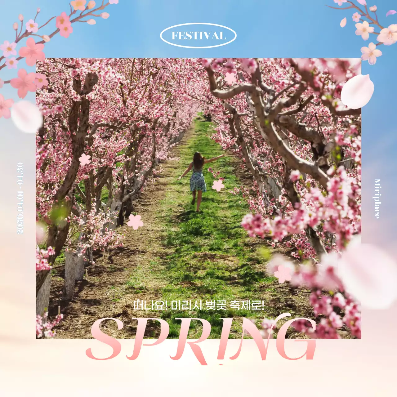 분홍색 봄맞이 벚꽃 축제 홍보