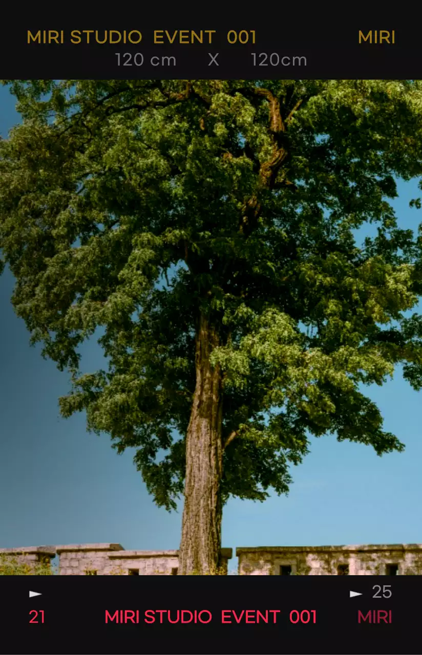 대비가 강한 컬러감의 감성적이고 힙한 사진 필름 프레임 컨셉 개인 굿즈용 