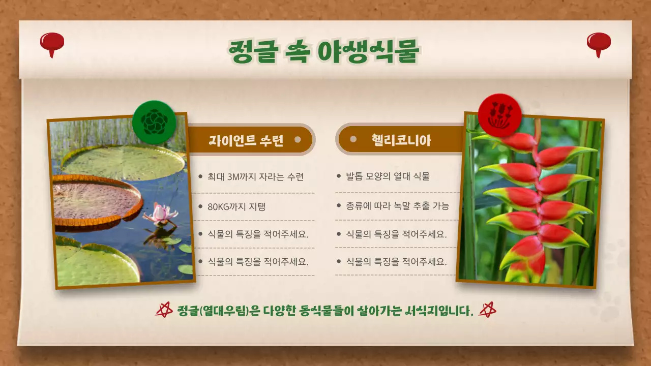 갈색과 초록색의 메모보드 컨셉 정글 이야기