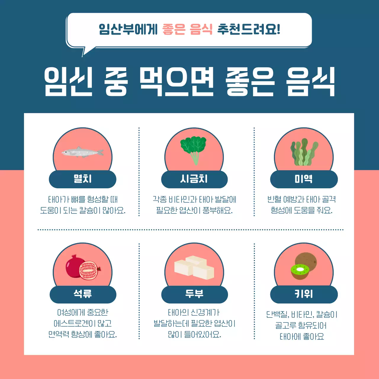 연분홍과 남색의 깔끔한 일러스트 임산부 가이드