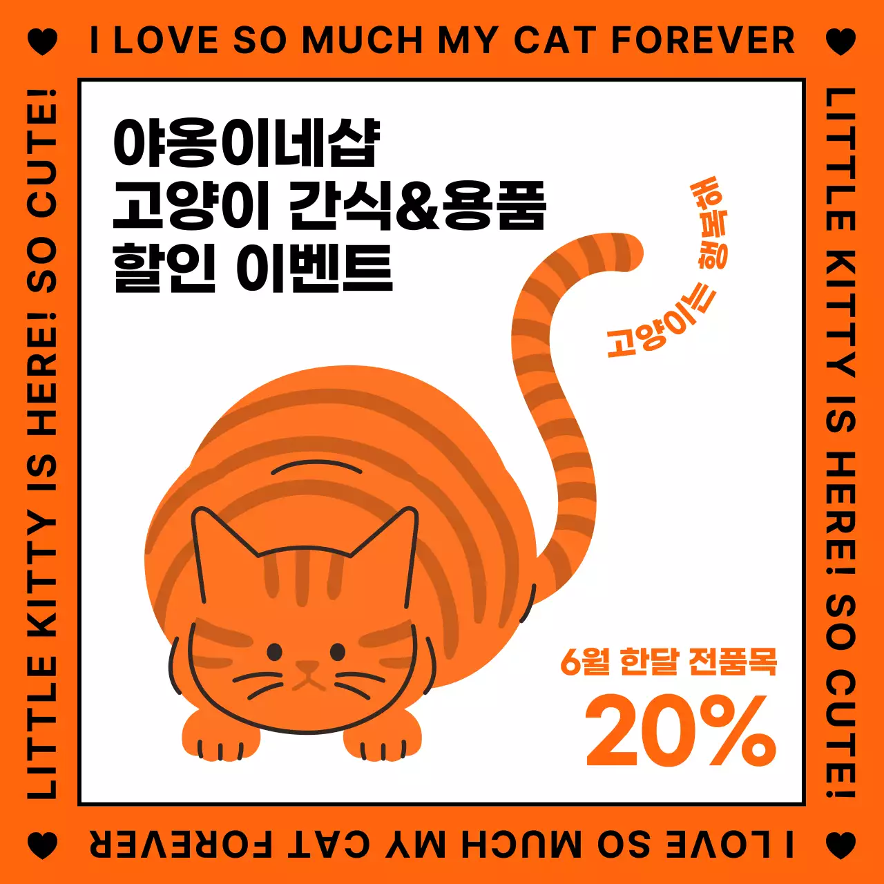 주황색의 귀여운 일러스트 느낌의 고양이 용품 홍보 내용