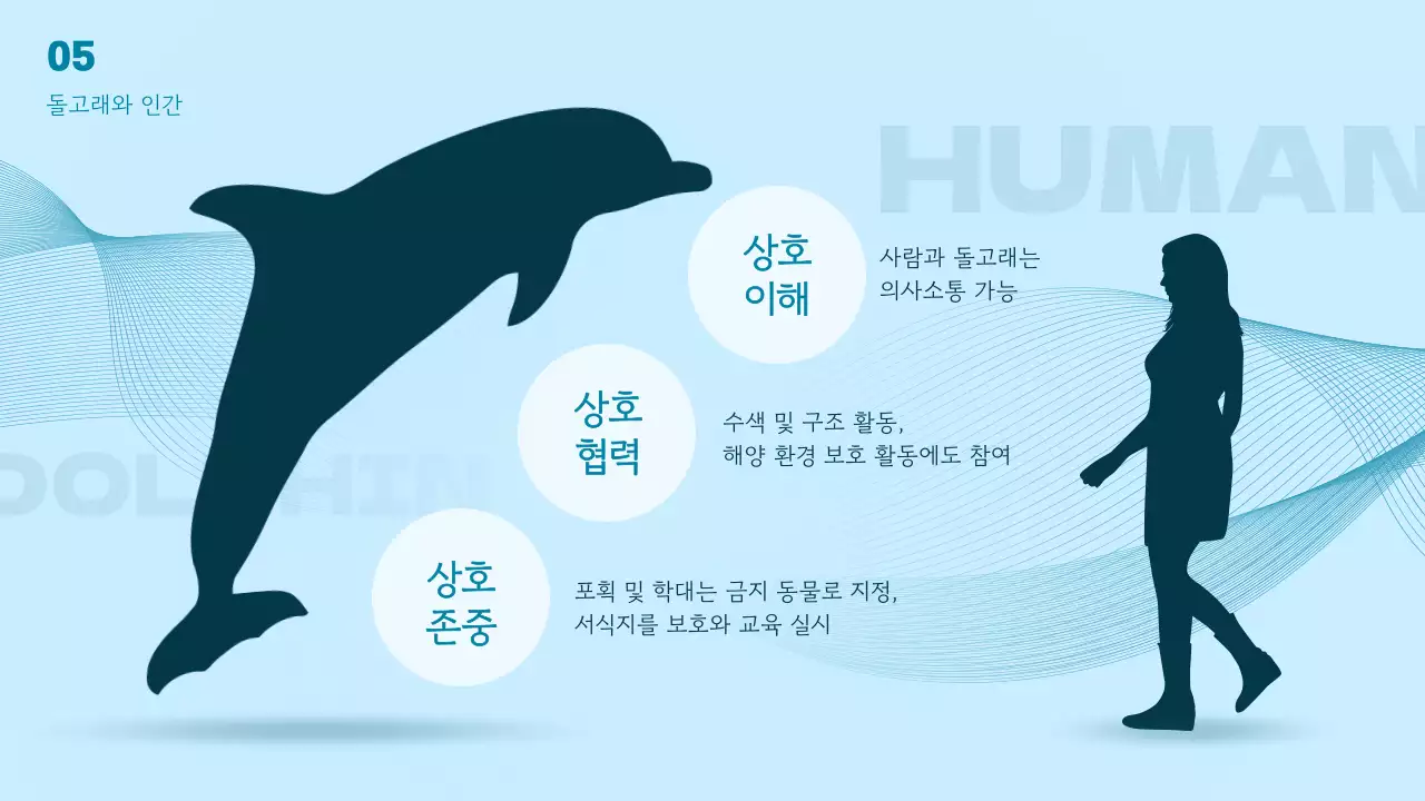 파란색 바다 테마의 다이내믹한 3d 돌고래의 세계