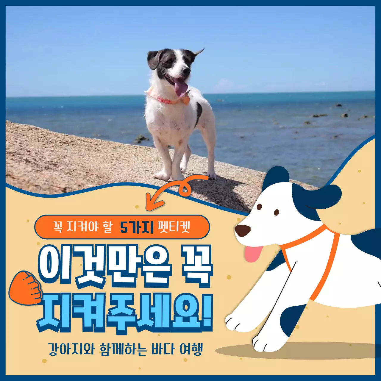 베이지와 하늘색의 바다 배경이 있는 귀여운 스타일의 펫티켓 정보