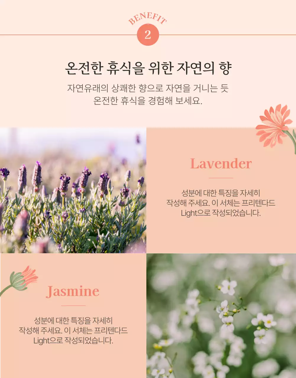 분홍색 꽃 일러스트의 바디워시 홍보 