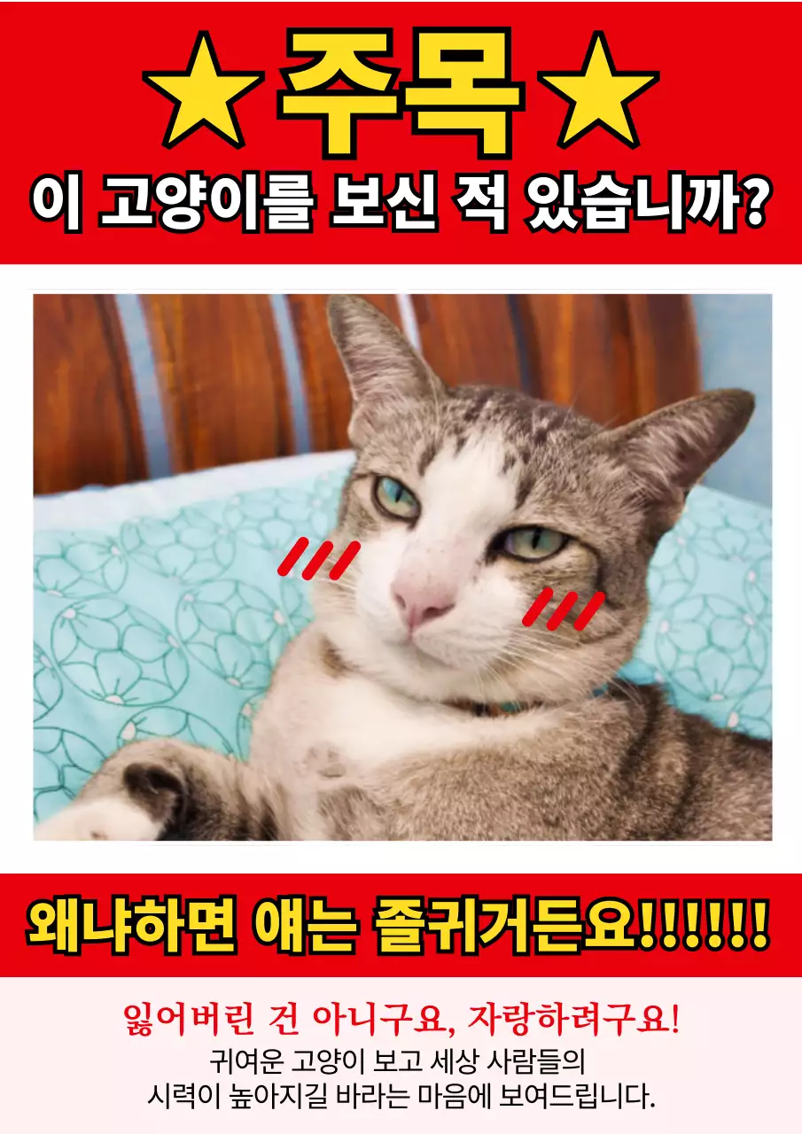 빨강과 흰색의 레트로한 B급 동물 자랑 전단지