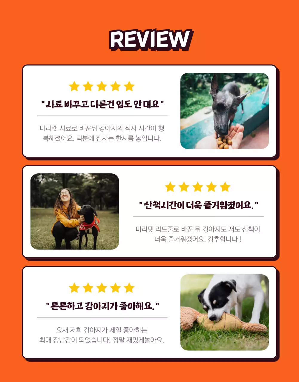 주황색과 노란색의 귀여운 컨셉의 팝아트스타일 일러스트 반려동물 쇼핑몰 반려용품 할인전