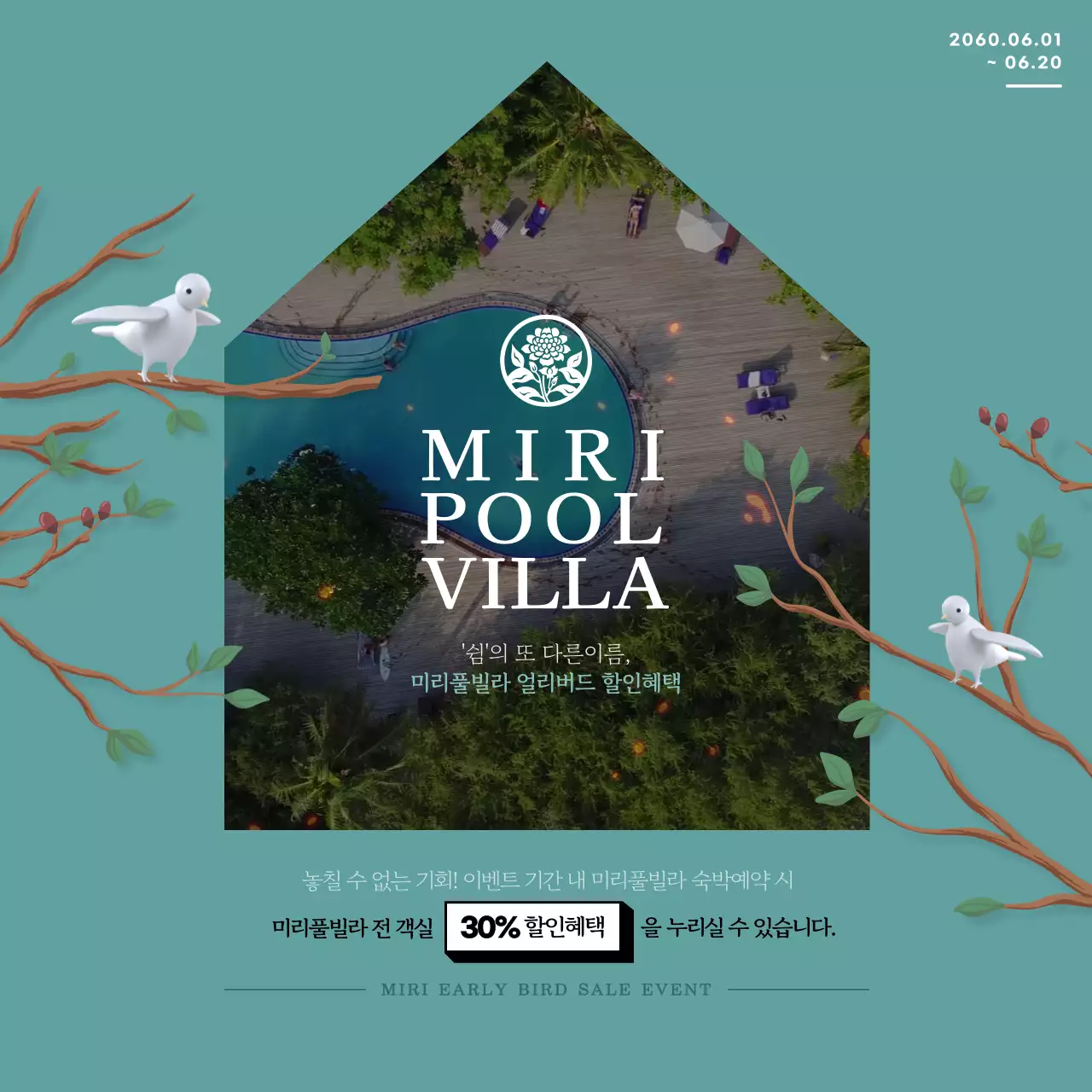 민트색의 움직이는 새를 활용한 풀빌라얼리버드 이벤트