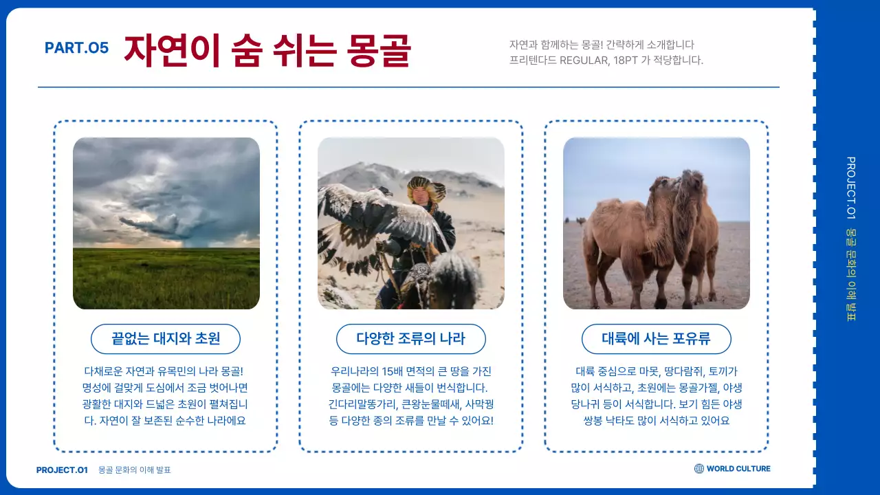 파랑과 흰색의 심플한 몽골 여행 소개서