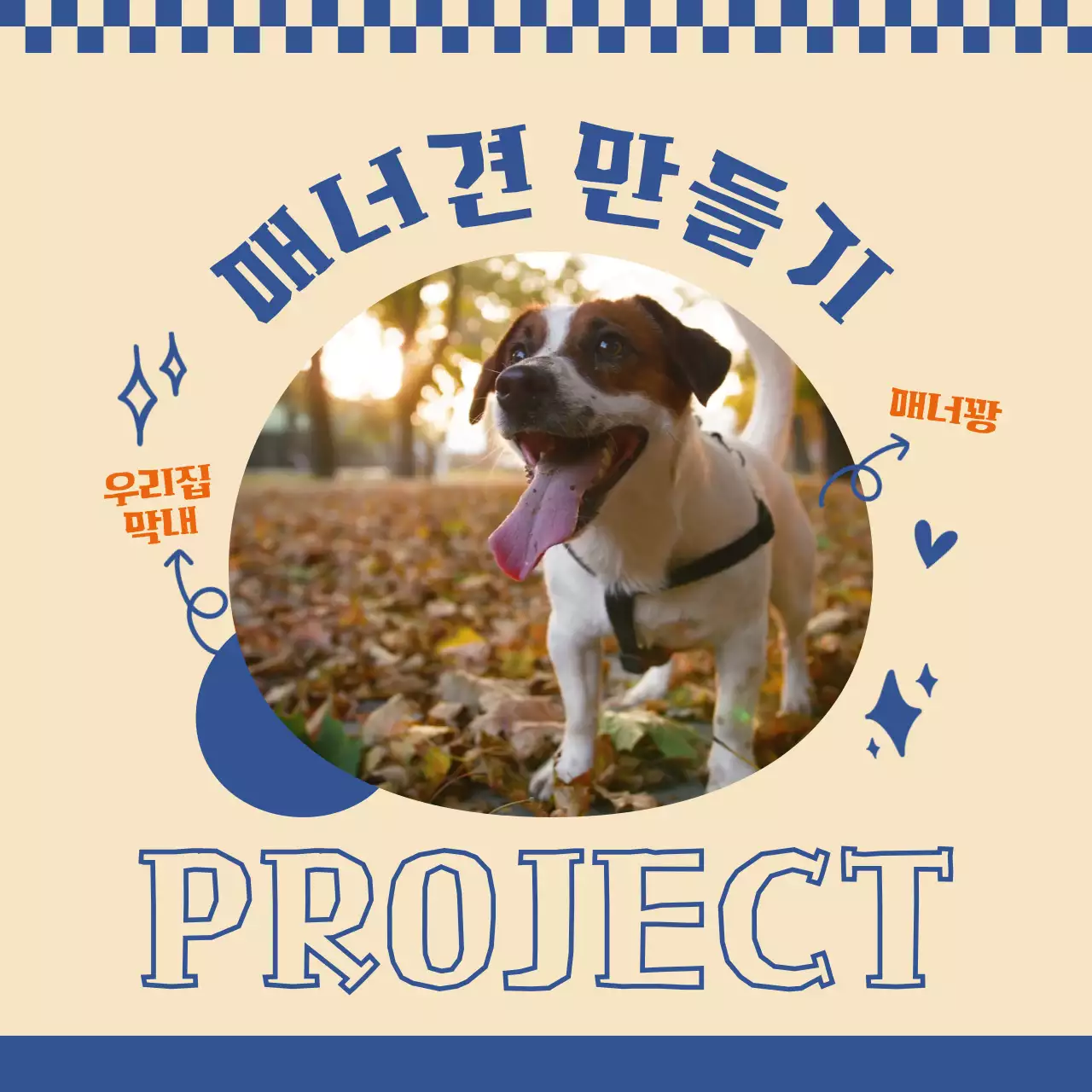 파란색의 매너견 만드는 정보