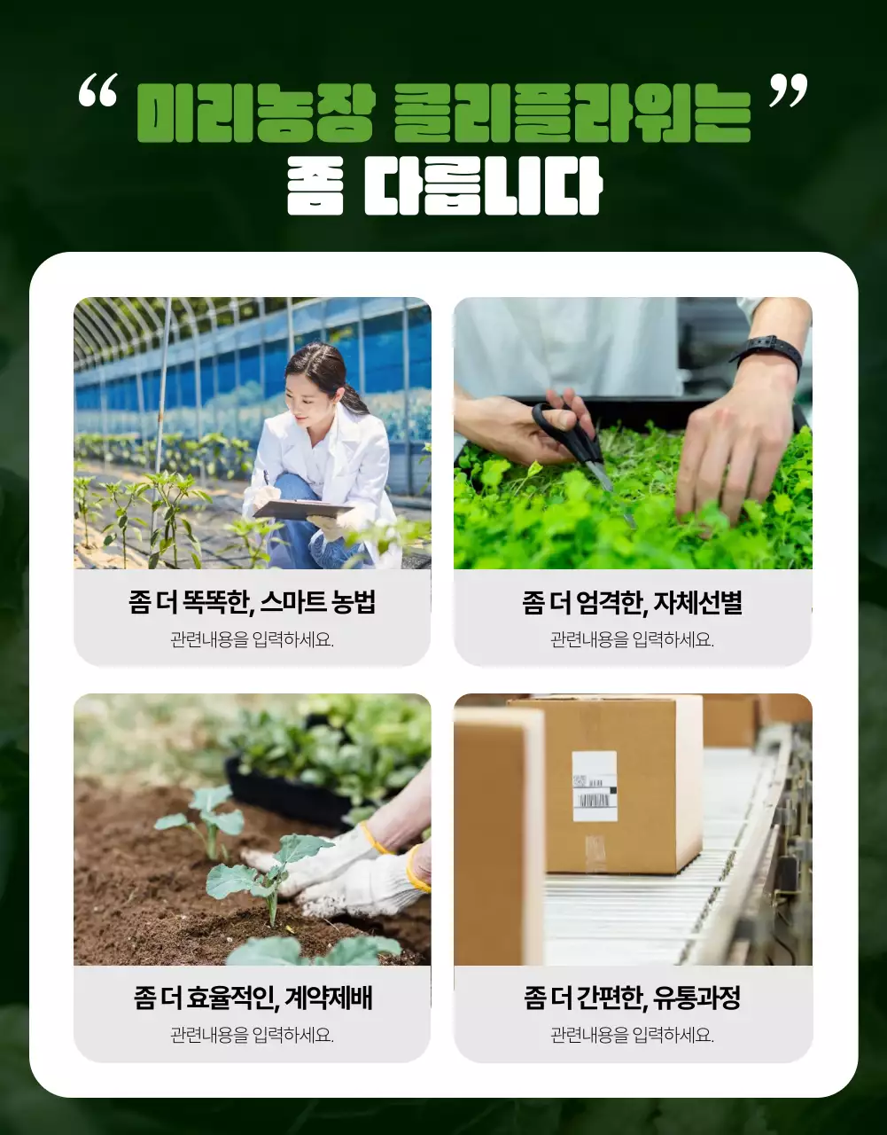 초록색 연두색 테마의 건강한 콜리플라워