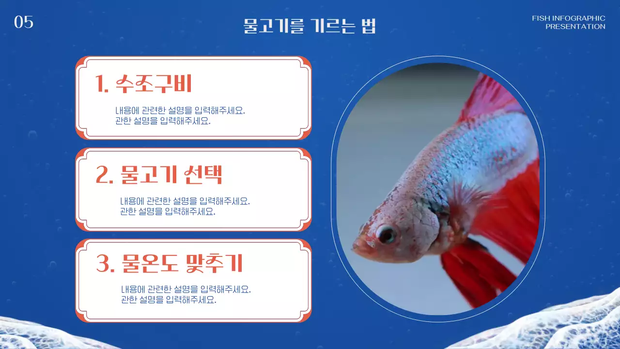 파랑 주황 조합의 클래식한 연어 일러스트가 그려진 물고기 인포그래픽