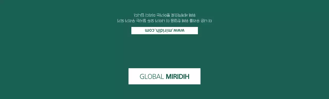 진초록색의 심플한 글로벌미리디 회사 홍보용