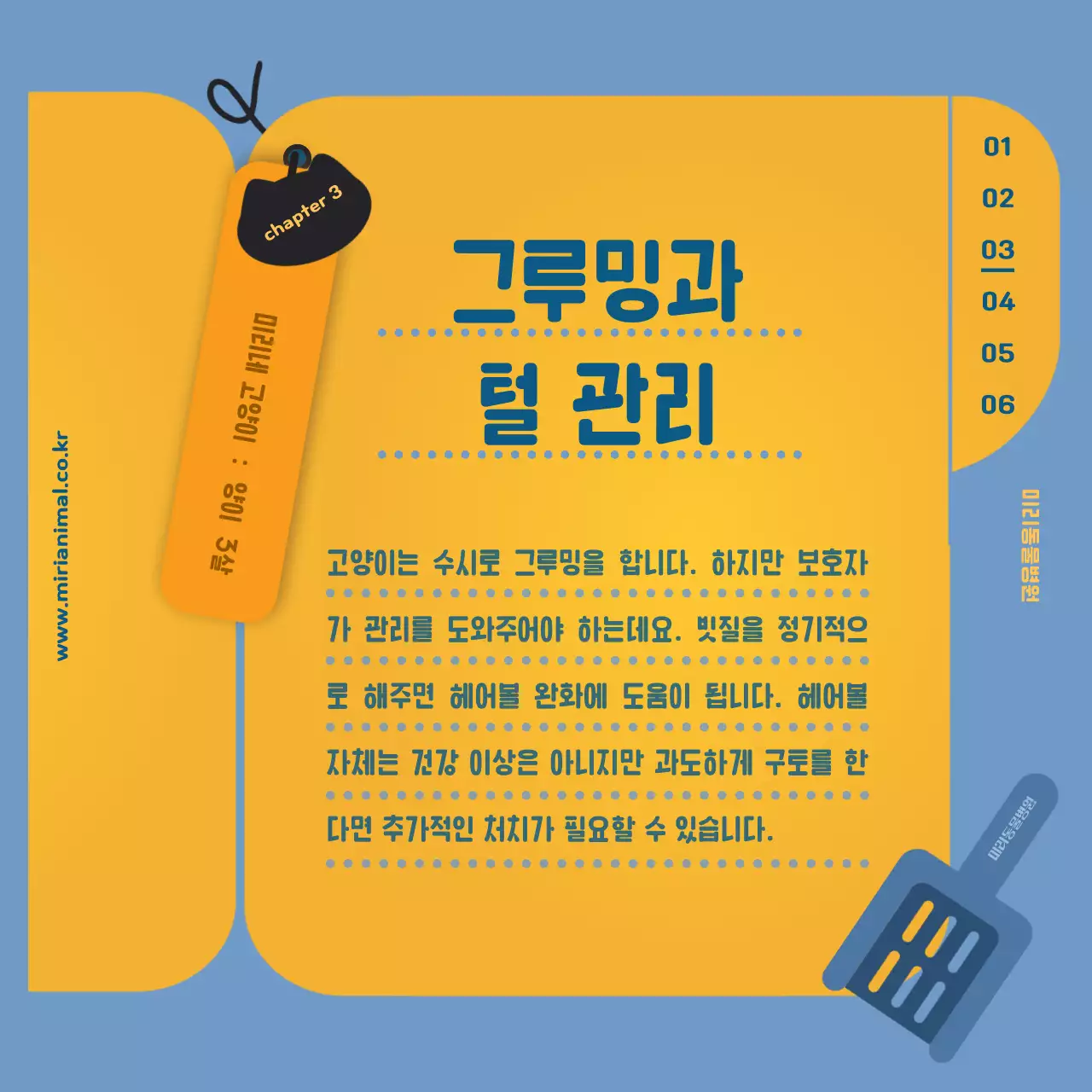 노란색의 건강 기록지가 포인트인 반려묘 건강관리 정보