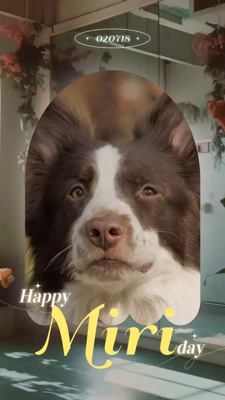 반려견 생일축하 옥외광고 프로모션