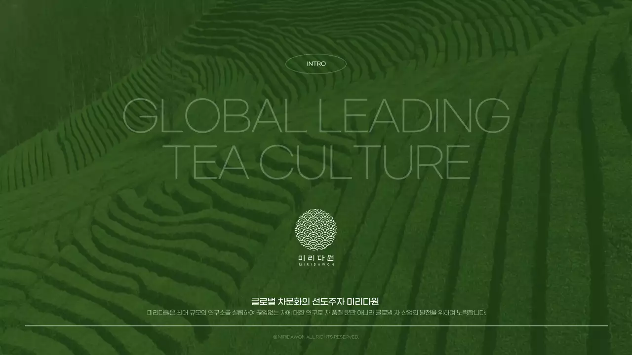 녹색의 사진과 타이포를 이용한 깔끔한 전통차 회사소개서