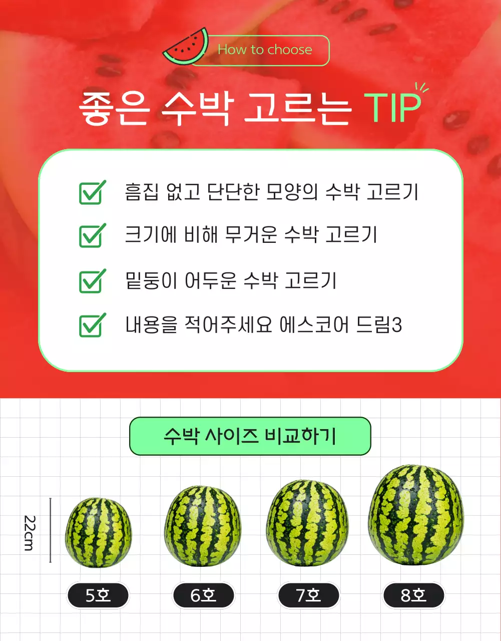 빨강과 초록색의 트로피칼한 수박 판매 쇼핑몰 홍보