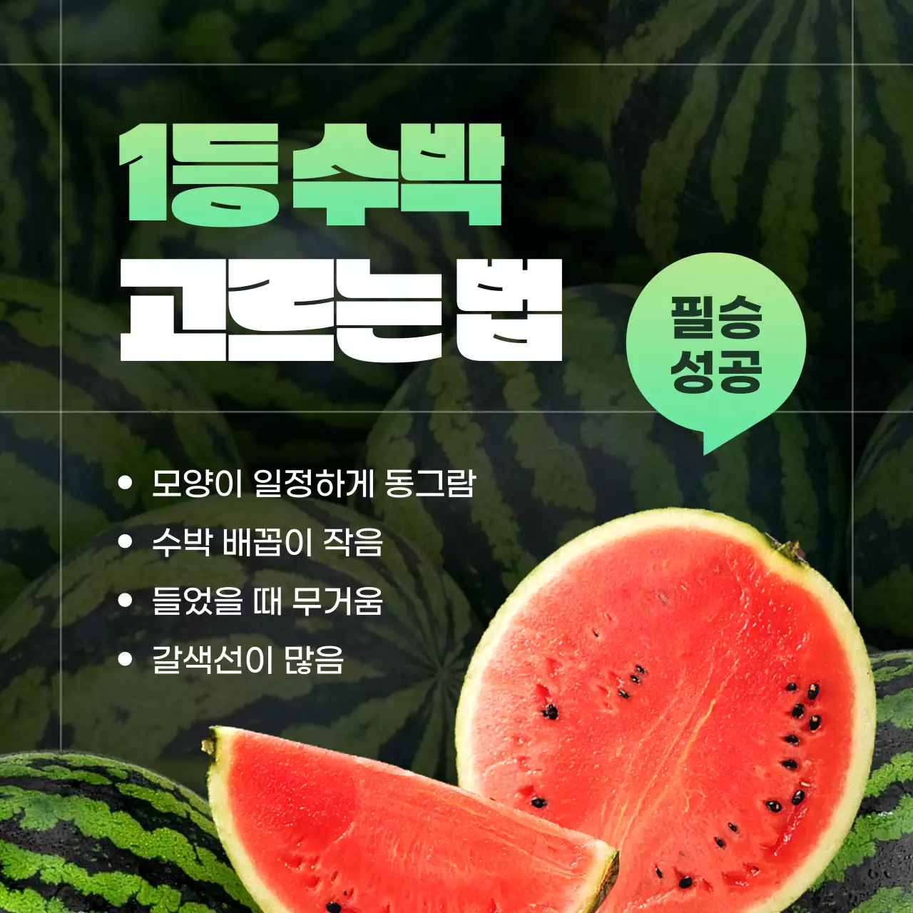 빨강과 초록색의 트로피칼한 수박 고르는 꿀팁 소개