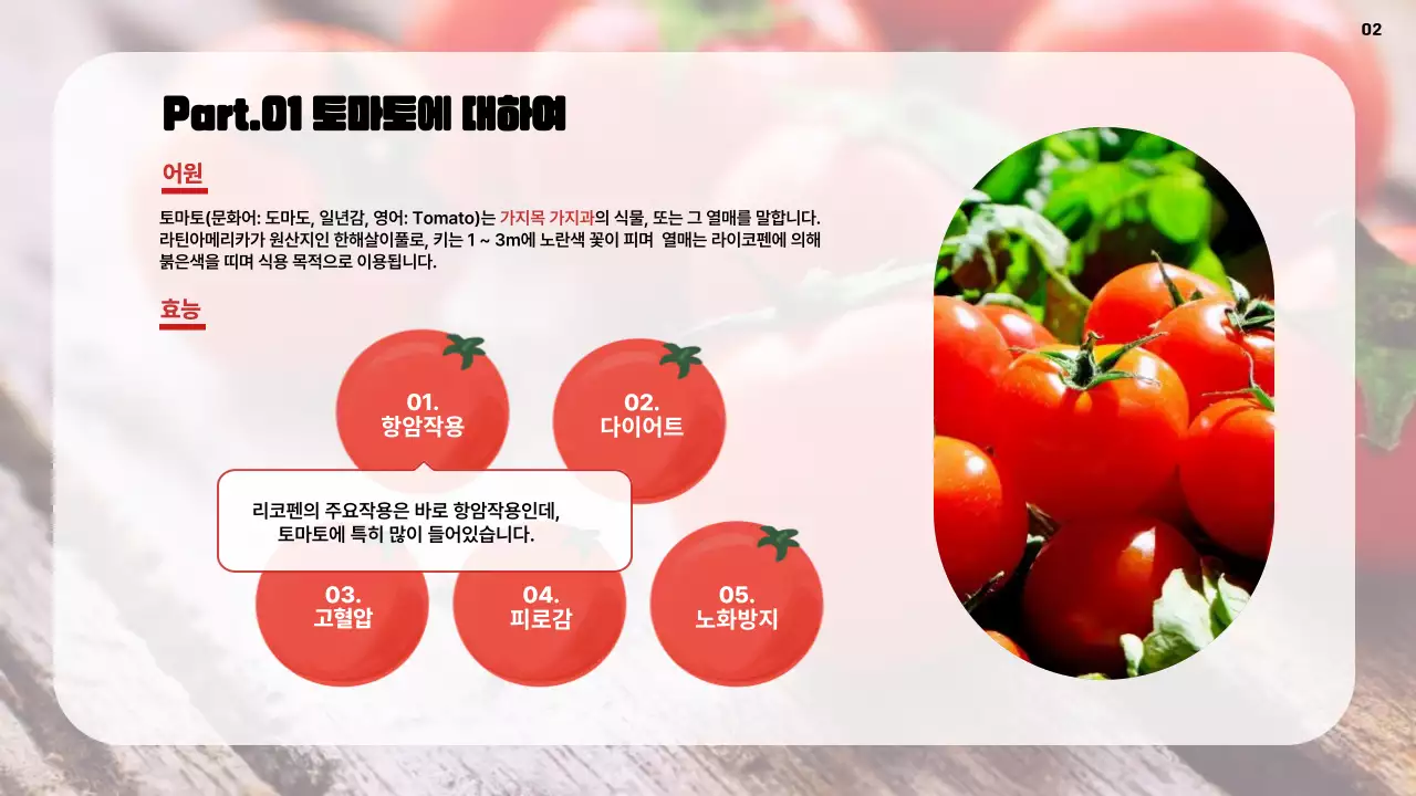 빨간색의 심플한 레드푸드 토마토 홍보 설명서