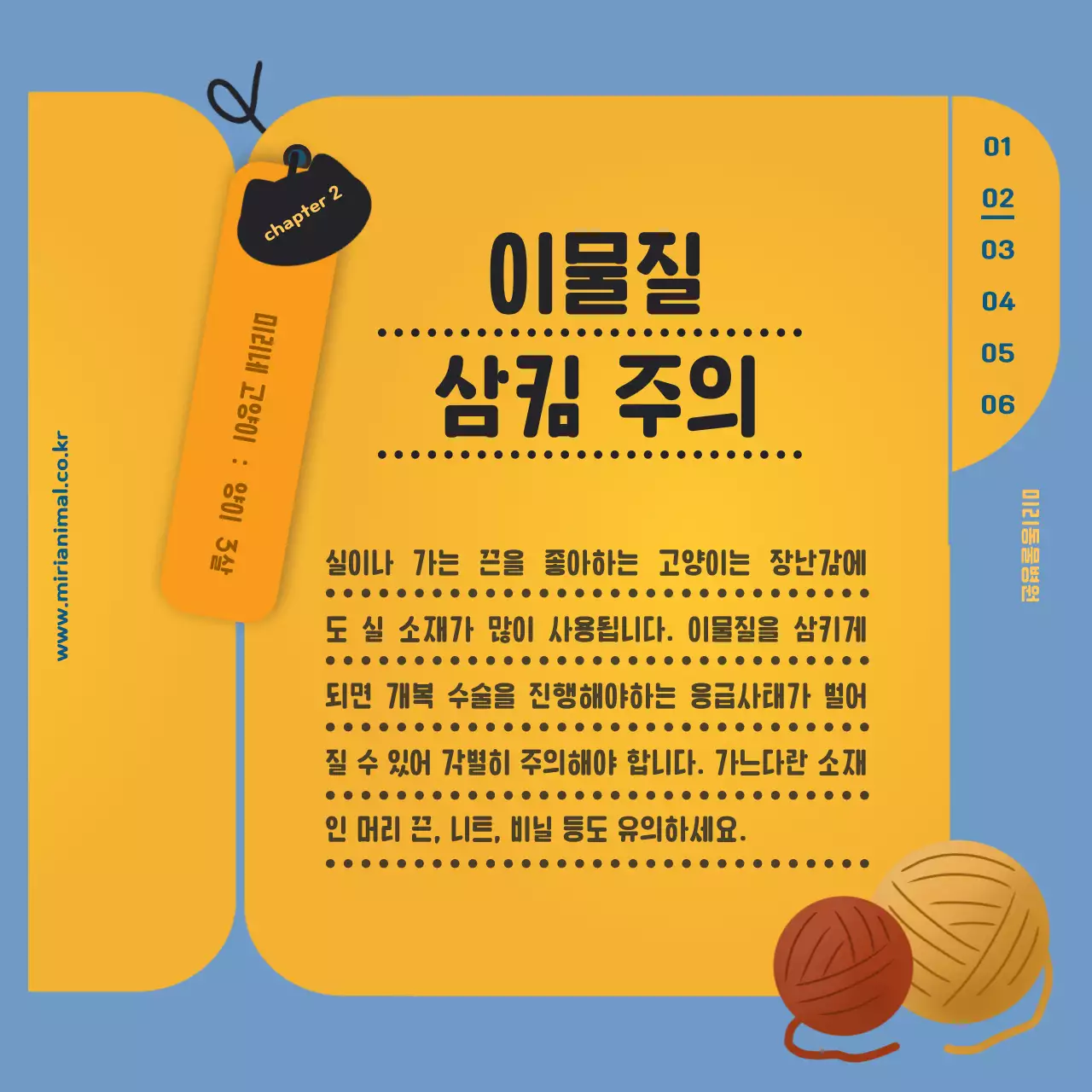 노란색의 건강 기록지가 포인트인 반려묘 건강관리 정보