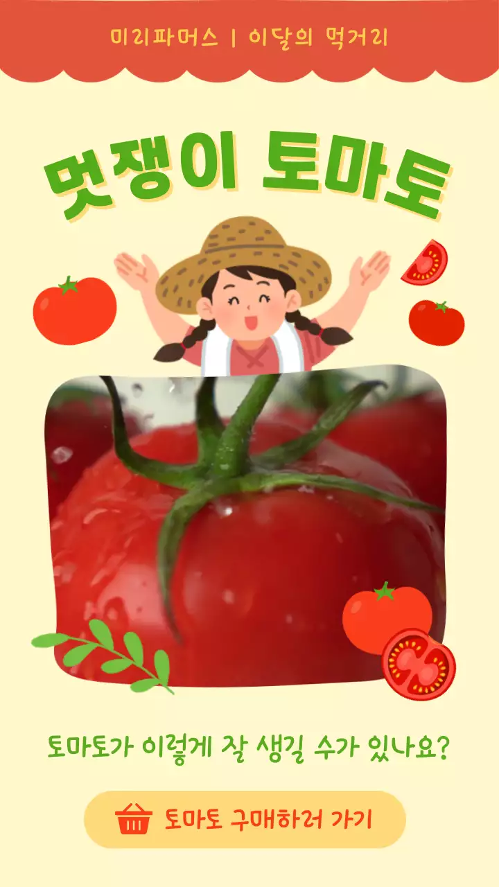 빨강과 노랑의 아기자기한 토마토 홍보