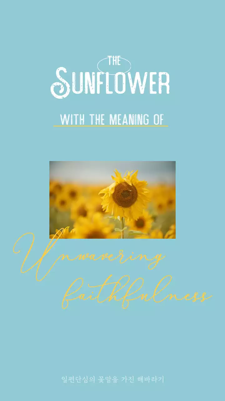 하늘색과 노란색의 미니멀한 스타일의 감성 해바라기
