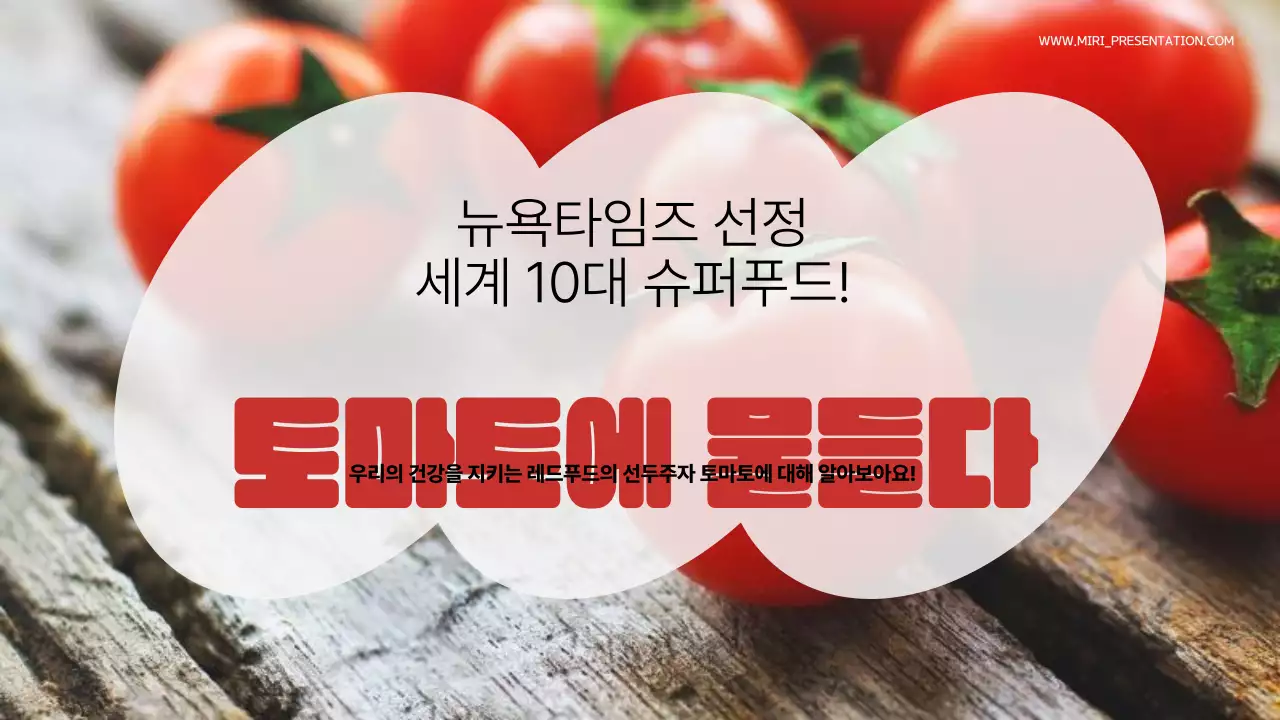 빨간색의 심플한 레드푸드 토마토 홍보 설명서