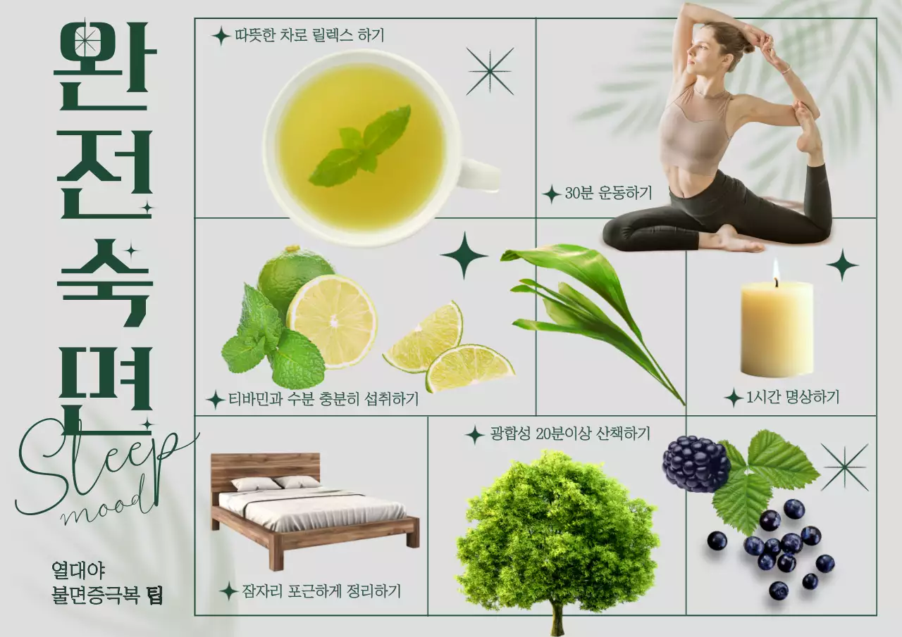 초록색의 편안한 숙면정보 꿀팁