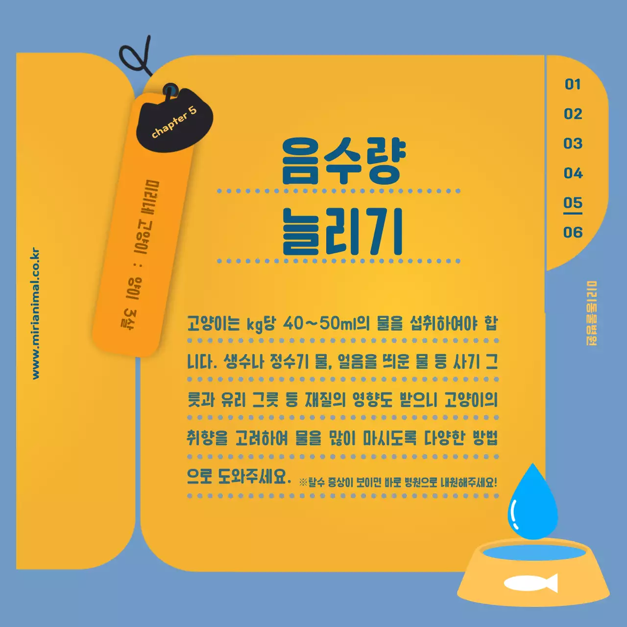 노란색의 건강 기록지가 포인트인 반려묘 건강관리 정보