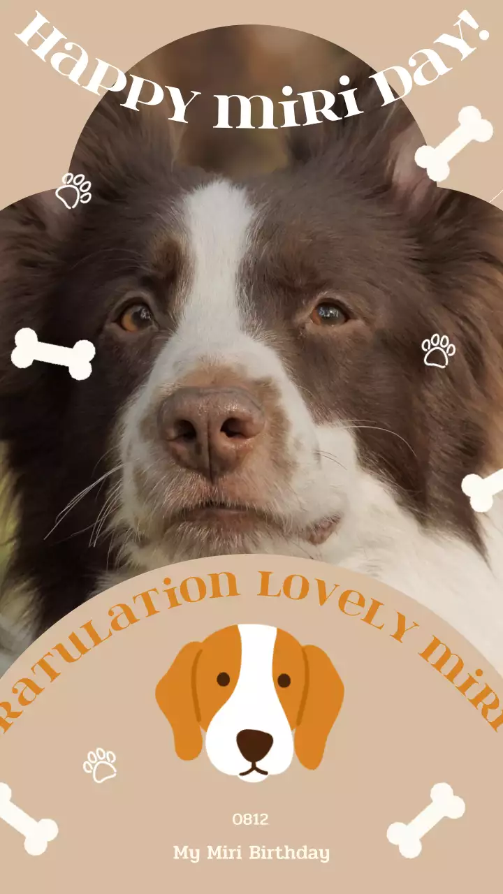 베이지톤의 키치한 아이콘 반려견 생일축하 홍보