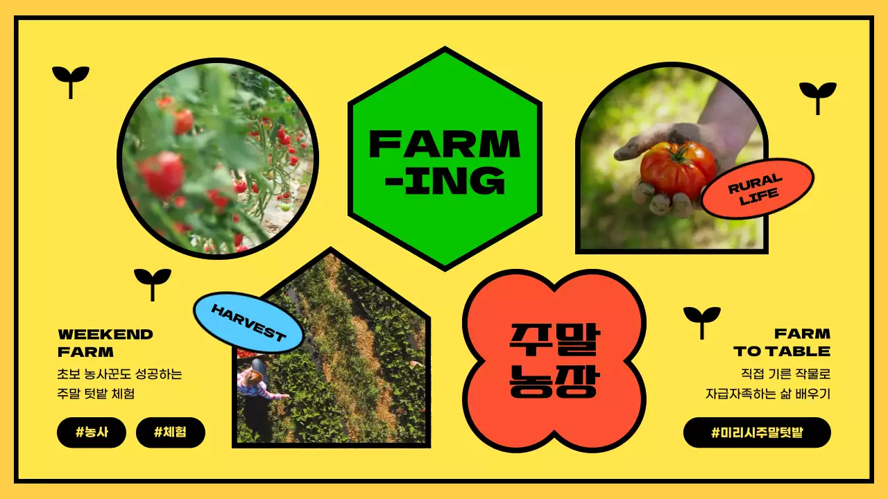 노란색과 초록색의 기하학적인 주말 농장 안내