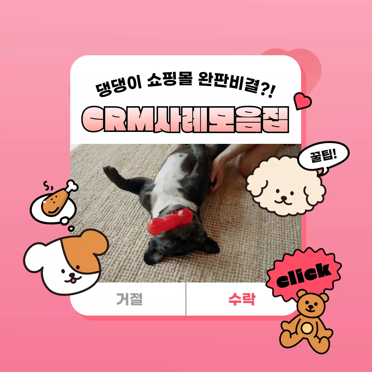 분홍색의 귀여운 강아지와 장난감이 있는 CRM마케팅 홍보