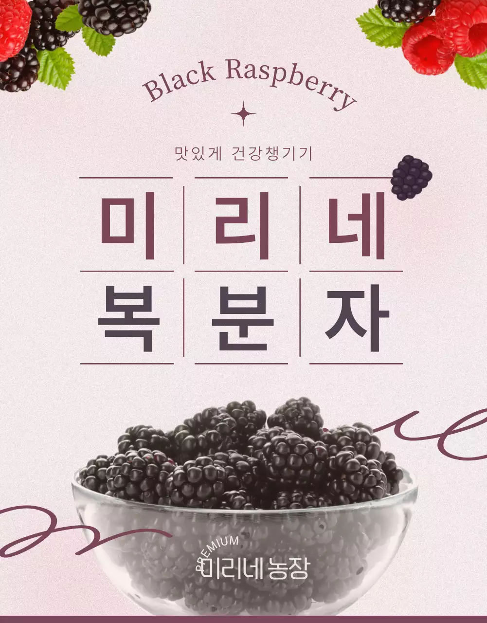 분홍색과 자주색의 감성적인 복분자 