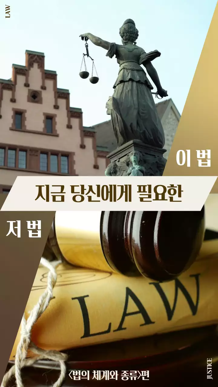 브라운 컬러톤의 법의 체계와 종류 소개