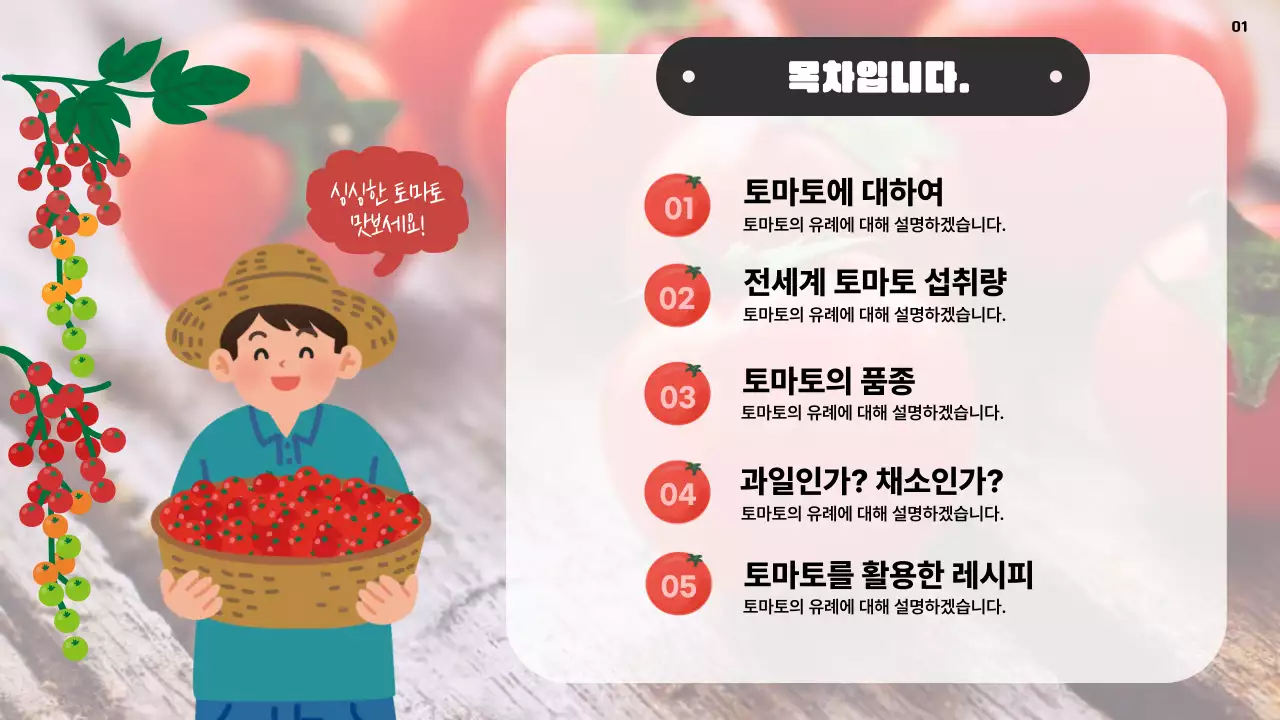 빨간색의 심플한 레드푸드 토마토 홍보 설명서