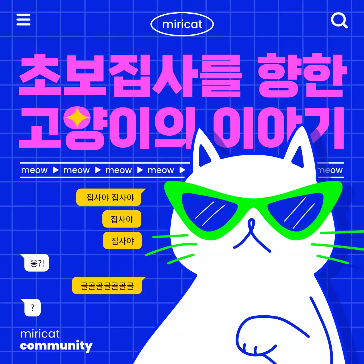 파란 배경에 하얀 고양이 일러스트가 들어간 레트로한 인터넷 느낌의 고양이 정보 전달