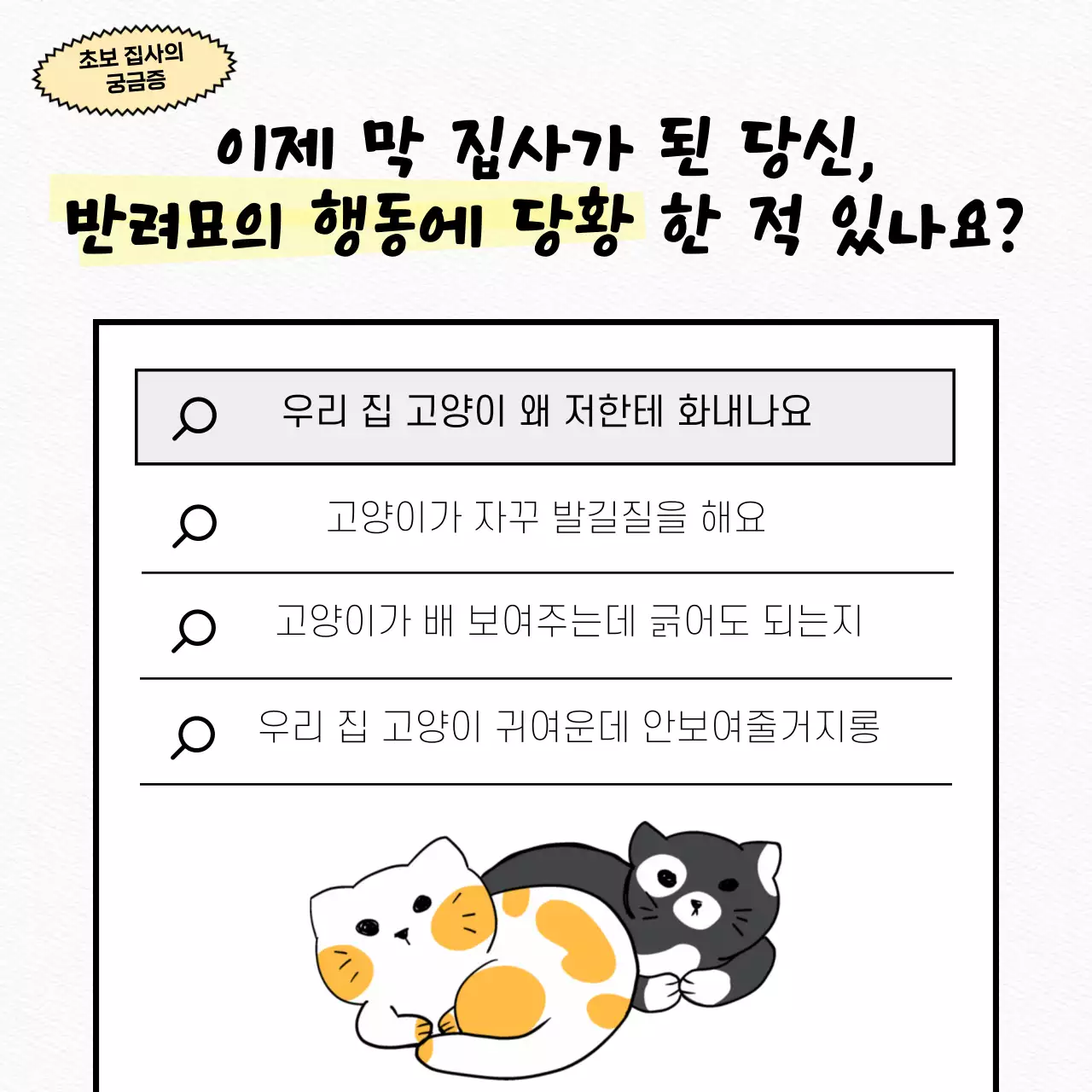 흰색의 플랫한 귀여운 고양이 테스트