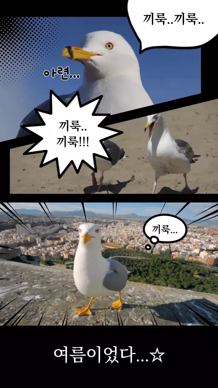 흑백 웹툰 컨셉의 여름 갈매기 유머