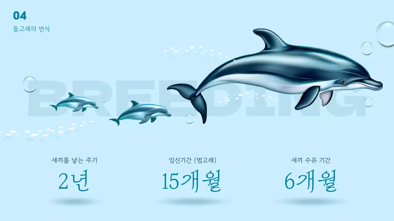 파란색 바다 테마의 다이내믹한 3d 돌고래의 세계