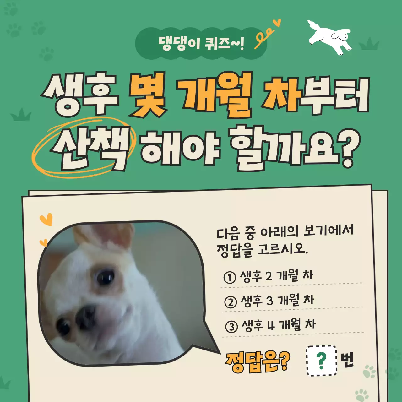 초록색 일러스트의 강아지 퀴즈 정보 안내
