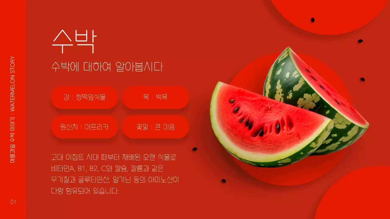 빨강과 초록색의 미니멀한 수박 농장 체험 홍보