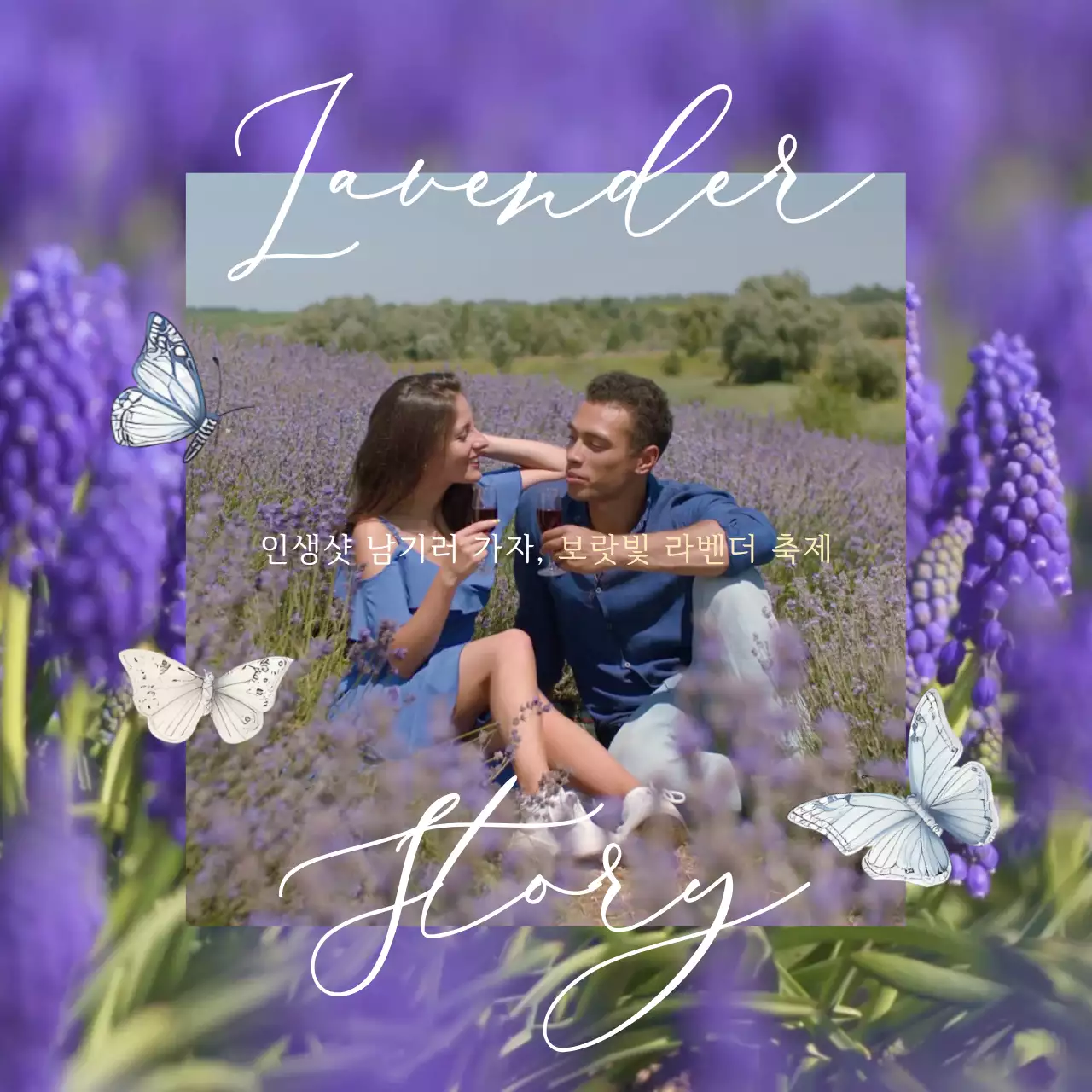 보라색 사랑스러운 느낌의 라벤더 축제 홍보 내용