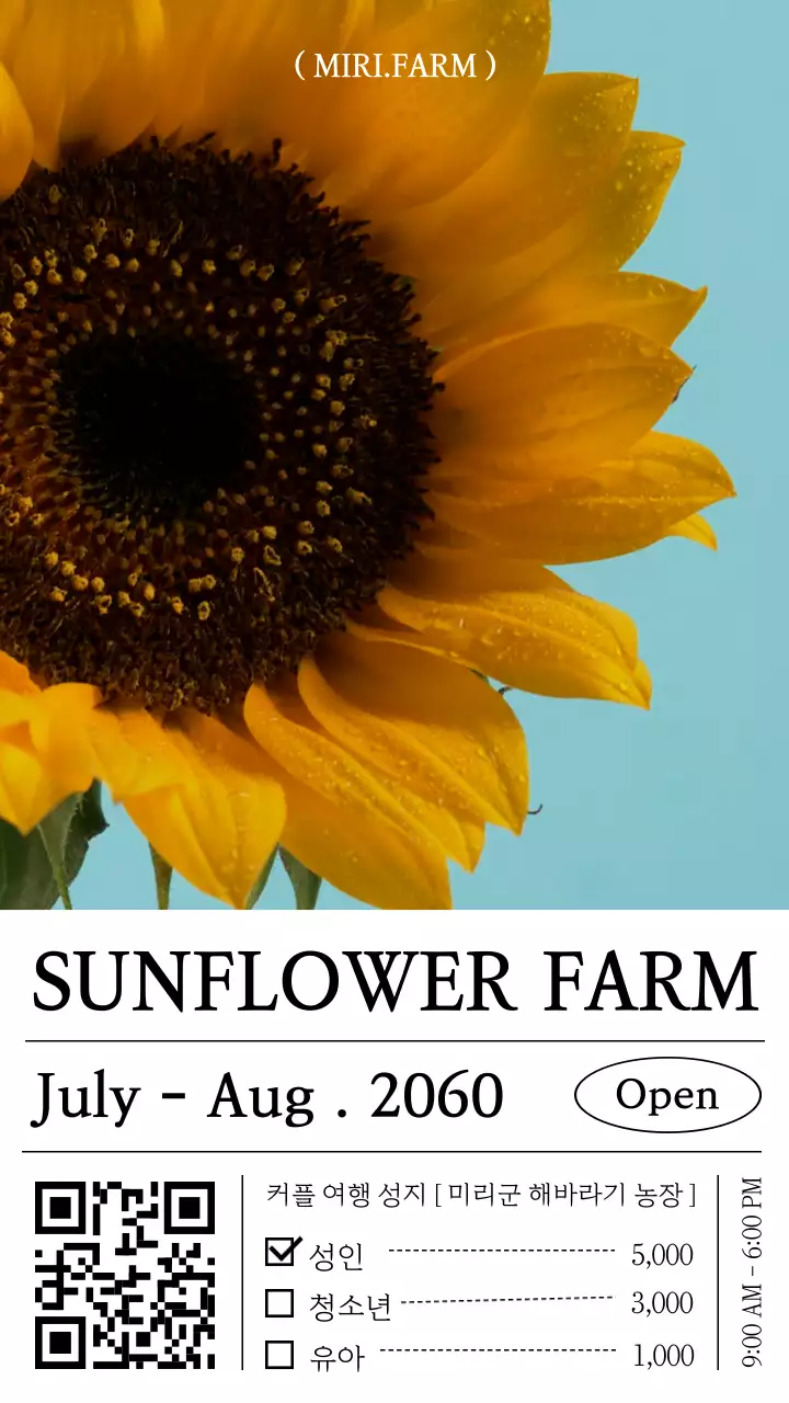 하늘색 배경 티켓  컨셉의 해바라기 농장 투어 안내