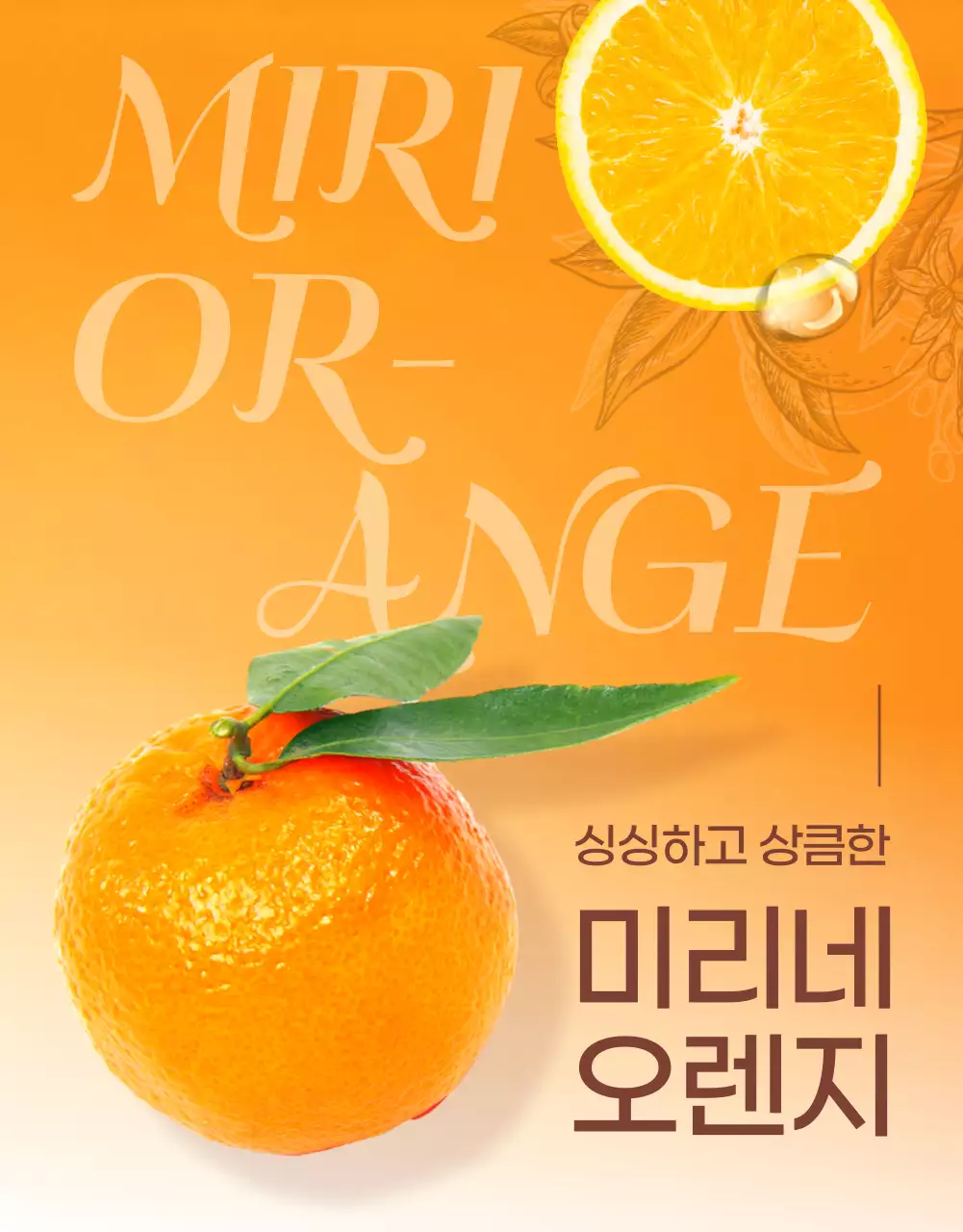 주황색의 트로피칼한 오렌지 홍보